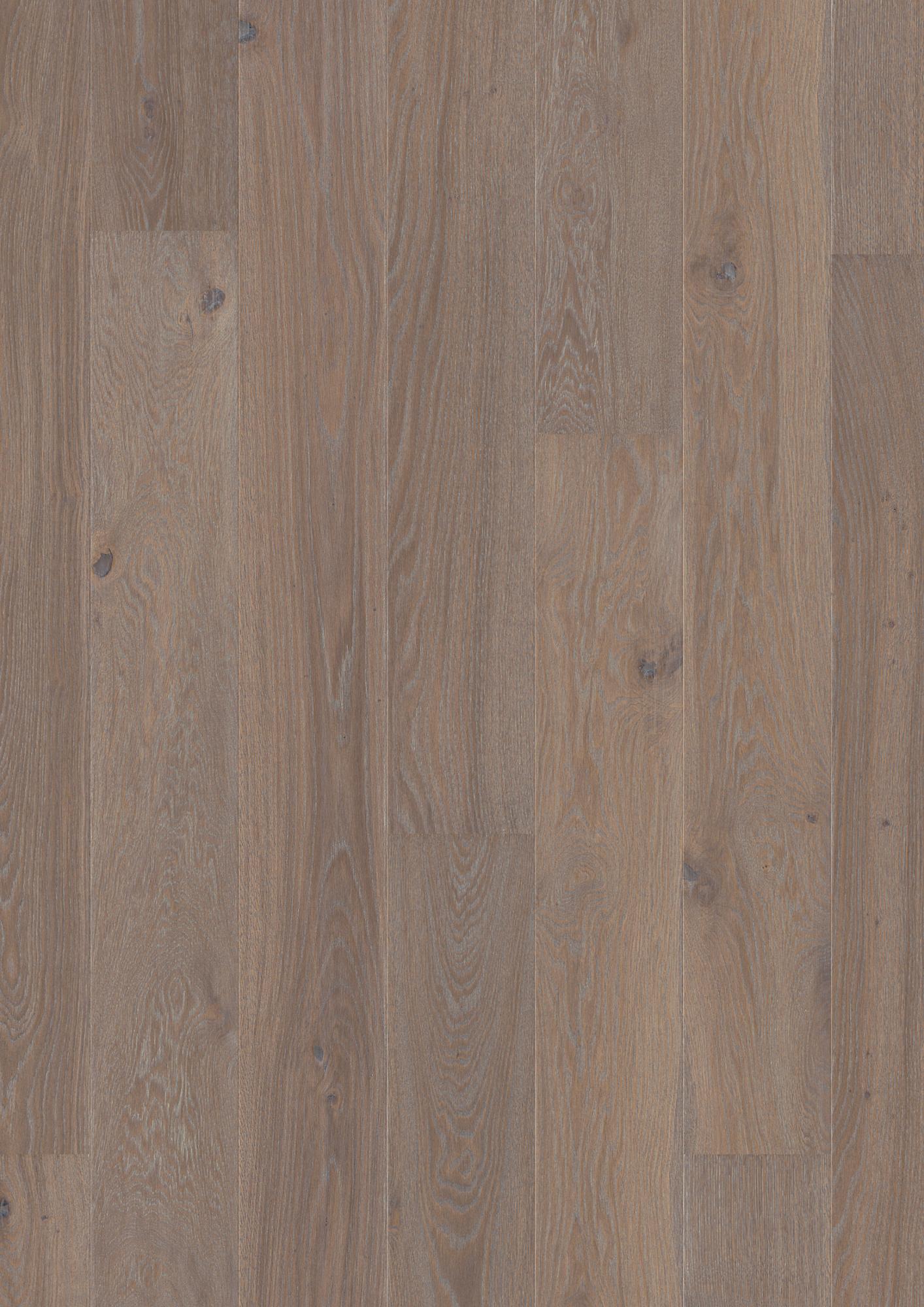 Oak India Grey Animoso