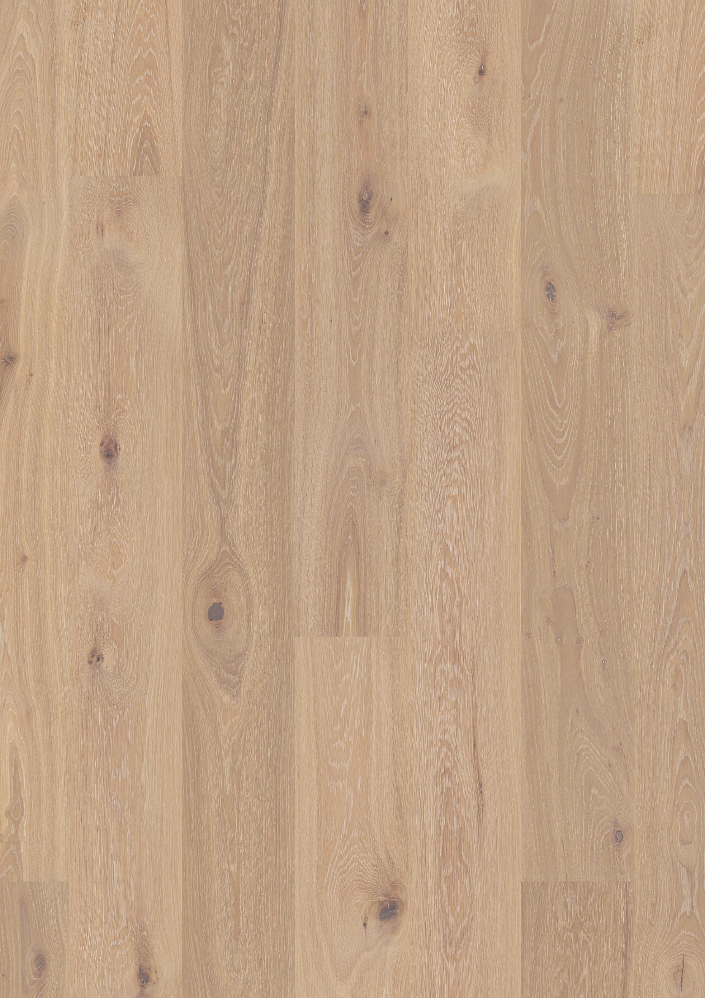 Oak Coral Animoso, 13.2mm Plank 181